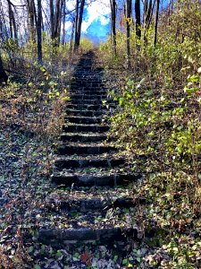 Bellevue Park Steps, CUF, Cincinnati, OH 