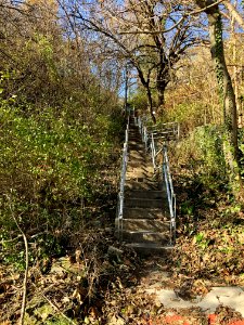 Upper Ohio Avenue Steps, CUF, Cincinnati, OH 