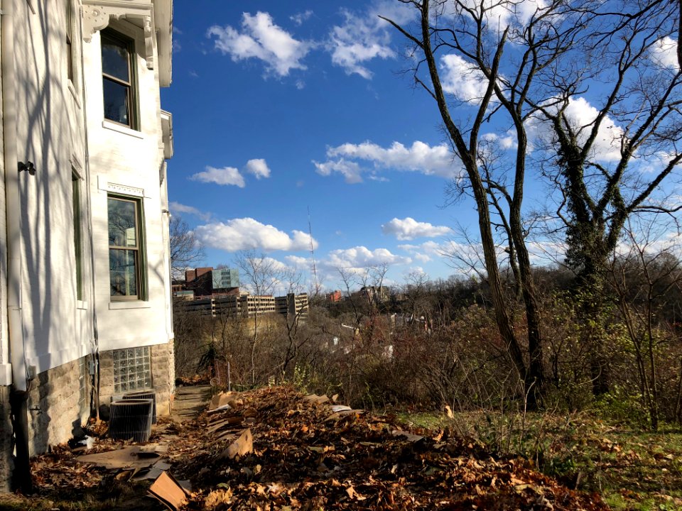 Elysian Place, CUF, Cincinnati, OH 