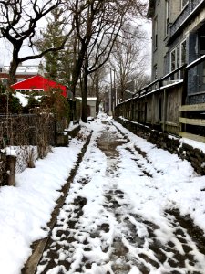 Baltzer Alley, Northside, Cincinnati, OH 