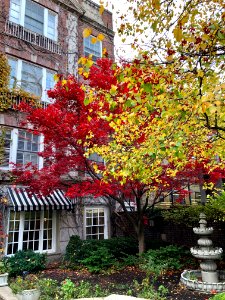 Best Western Plus Hawthorne Terrace Hotel, Lakeview East, … 
