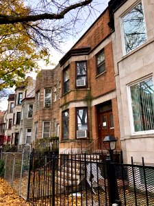 North Wilton Avenue, Lakeview, Chicago, IL 
