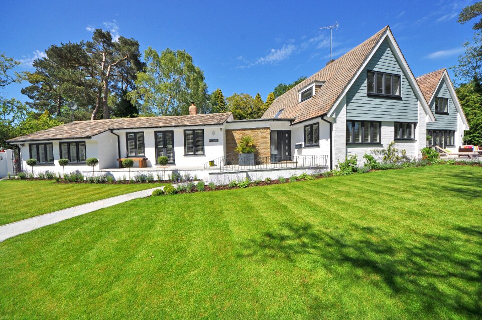 Landscaping gardening modern
