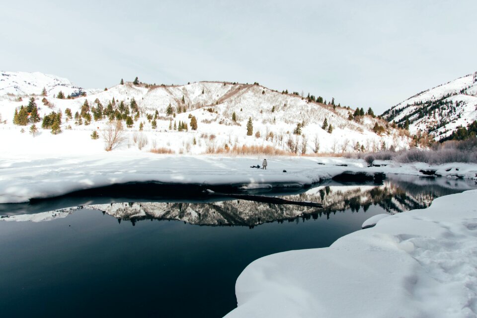 Landscape white trees