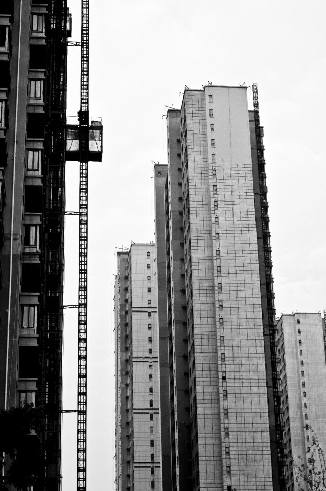 Black and white city line