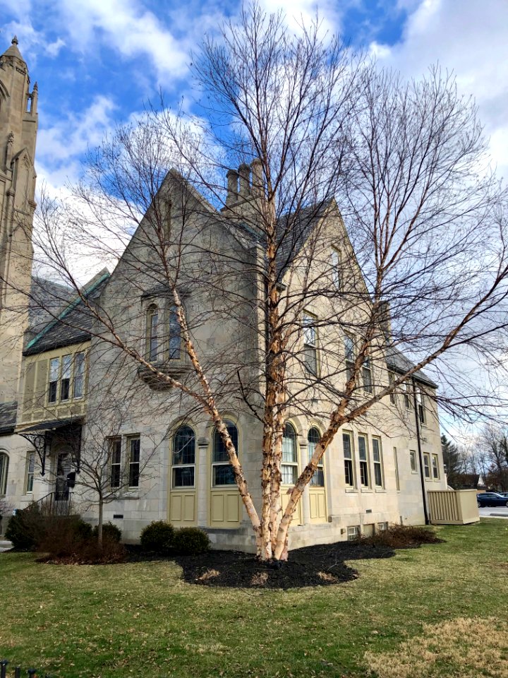 St. Cecilia Catholic Parish Church, Oakley, Cincinnati, OH… 