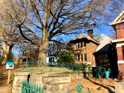 Langland Street, Northside, Cincinnati, OH 