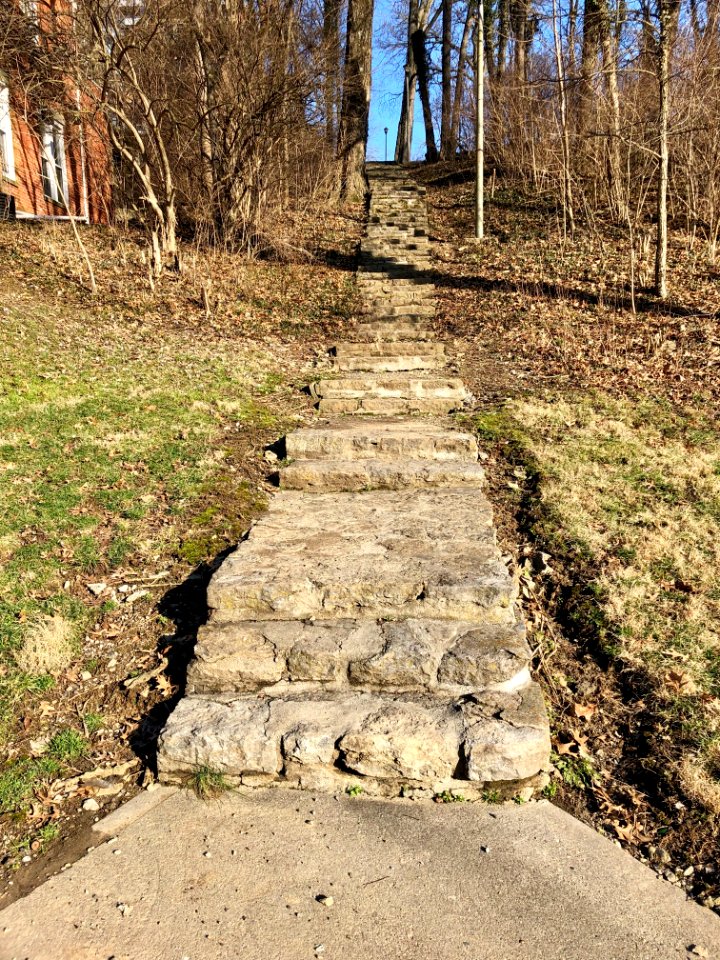 Fulton Avenue Steps, Walnut Hills, Cincinnati, OH 