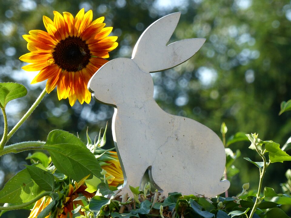 Metal decoration giant rabbits