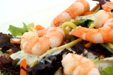 Catering cellulite chinese