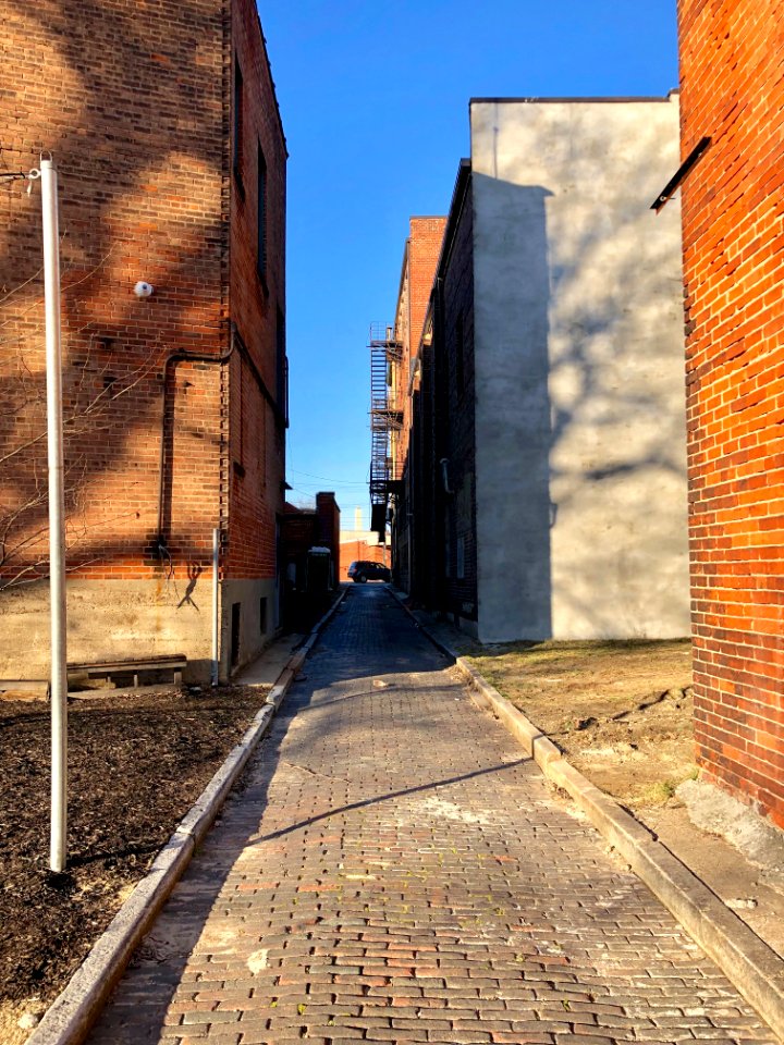 Sedalia Alley, Walnut Hills, Cincinnati, OH 