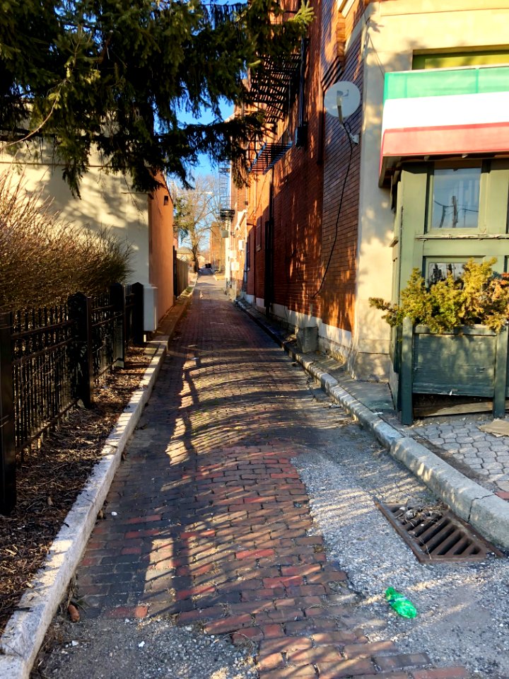 Finch Alley, Walnut Hills, Cincinnati, OH 