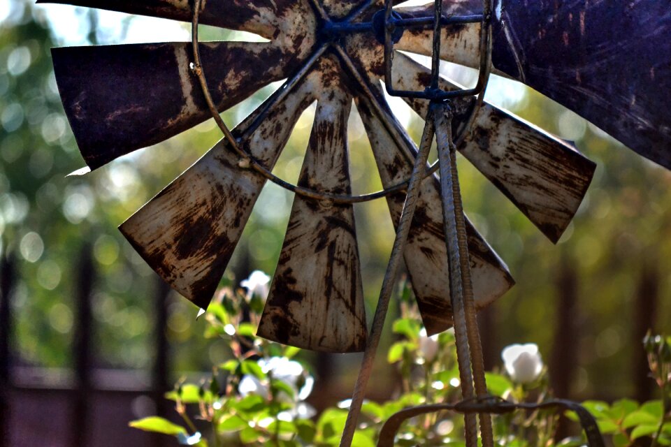Garden rusted decorative