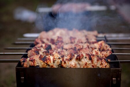 Mangal bbq grill photo