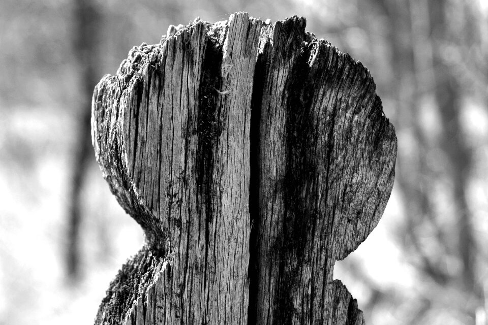 Halloween mystery dark