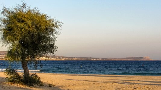 End of season sand tree
