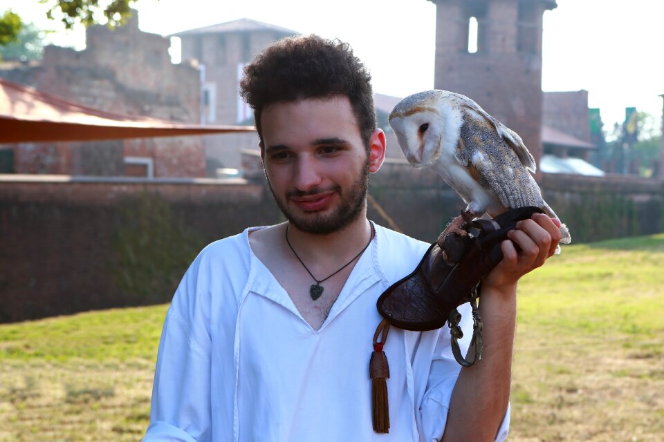 Bird animals predator