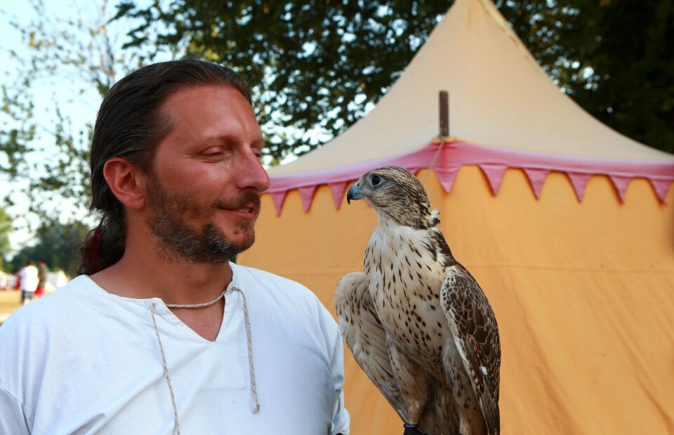Animals predator falconer