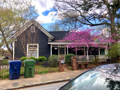 Powell Street, Cabbagetown, Atlanta, GA 