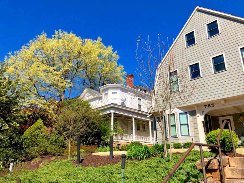 Piedmont Avenue, Midtown, Atlanta, GA 