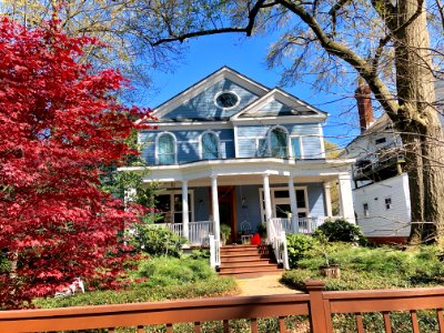 Piedmont Avenue, Midtown, Atlanta, GA 