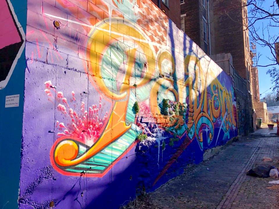 Mural, Bolivar Alley, Pendleton, Cincinnati, OH 