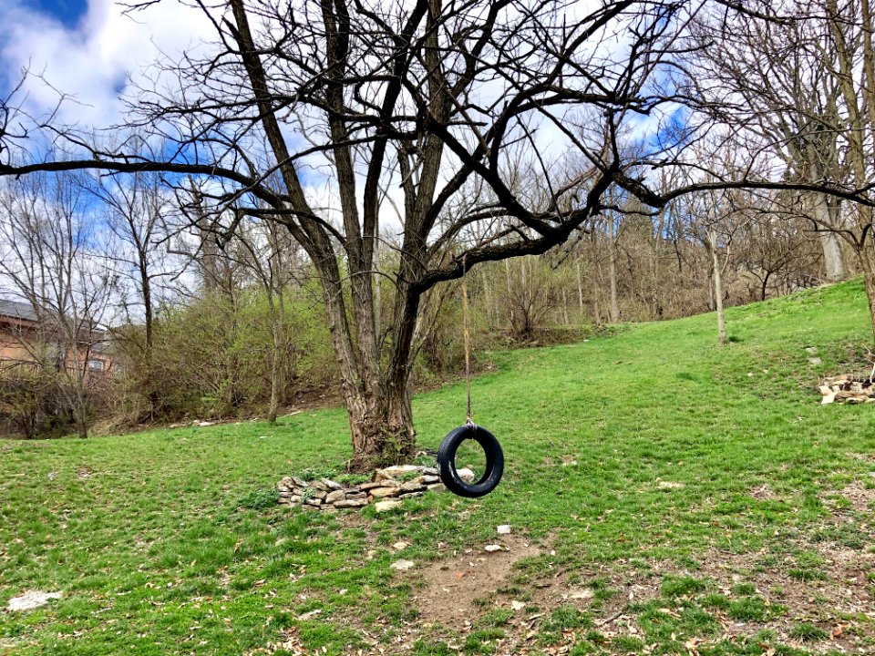 Tire Swing, Mulberry Street, Over-the-Rhine, Cincinnati, O… 