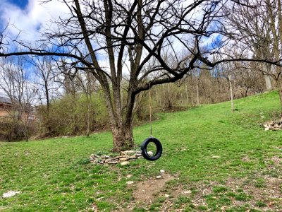 Tire Swing, Mulberry Street, Over-the-Rhine, Cincinnati, O… 