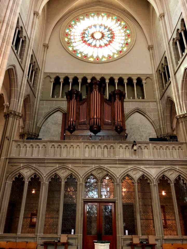 St. Mary's Cathedral Basilica of the Assumption, Eastside,… 