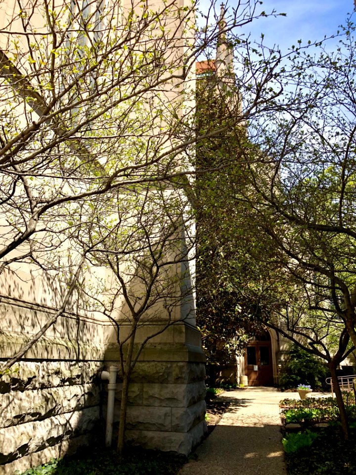 St. Mary's Cathedral Basilica of the Assumption, Eastside,… 
