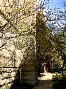 St. Mary's Cathedral Basilica of the Assumption, Eastside,… 