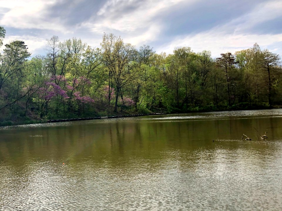 Lake, Burnet Woods, Clifton, Cincinnati, OH 