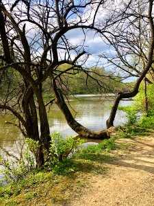 Lake, Burnet Woods, Clifton, Cincinnati, OH 