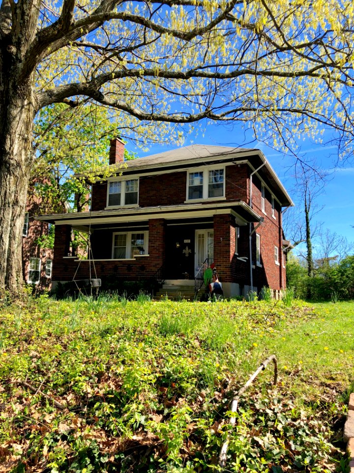 Warren Avenue, Clifton, Cincinnati, OH 