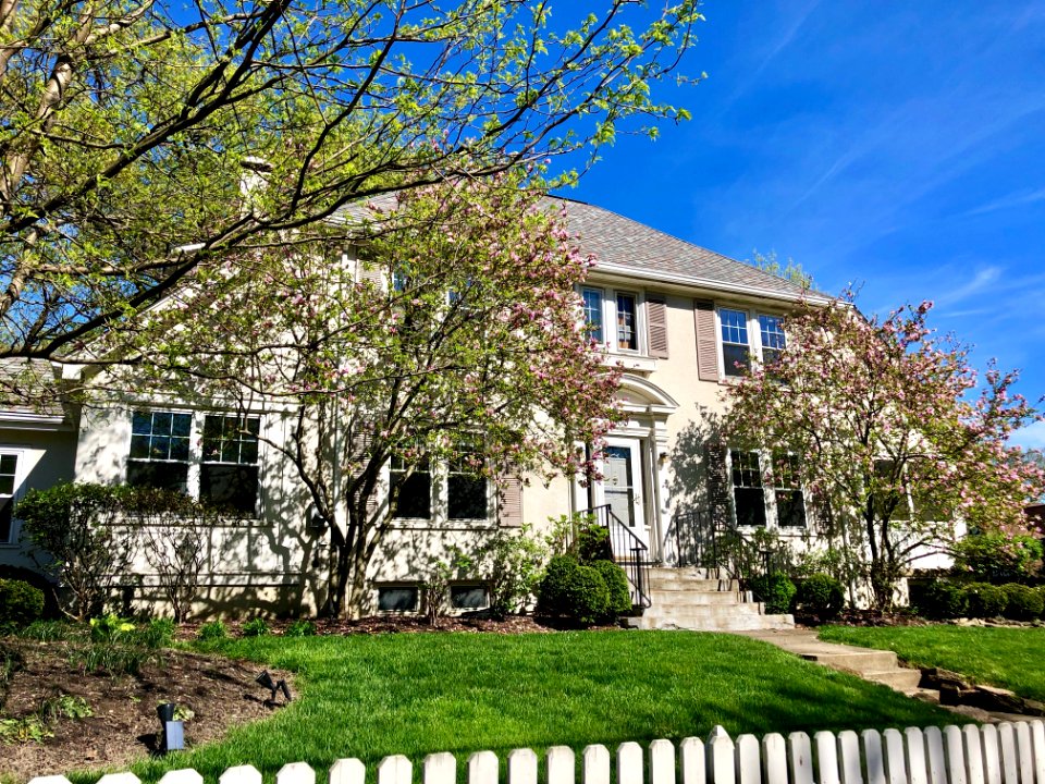 Middleton Avenue, Clifton, Cincinnati, OH 