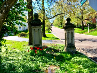 Cypress Garden Gate, Clifton, Cincinnati, OH 