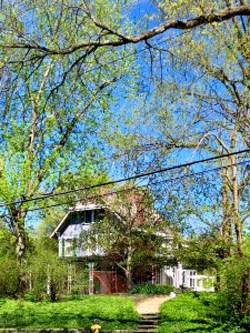 Clifton Avenue, Clifton, Cincinnati, OH 