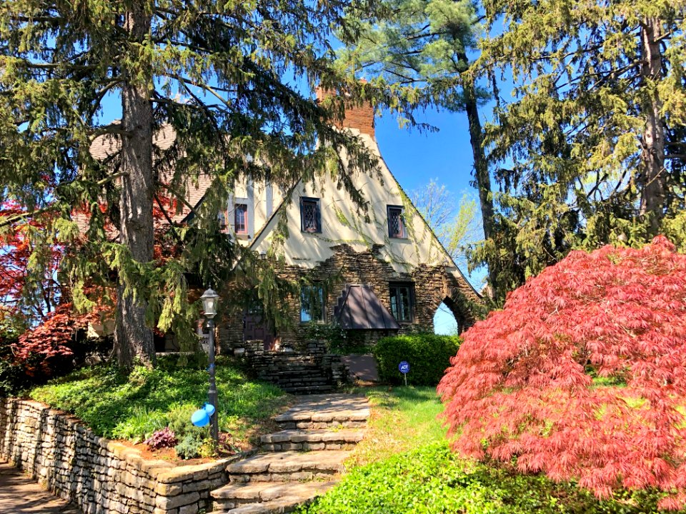 Avon Fields Place, North Avondale, Cincinnati, OH 