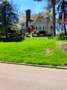 Avon Fields Lane, North Avondale, Cincinnati, OH 