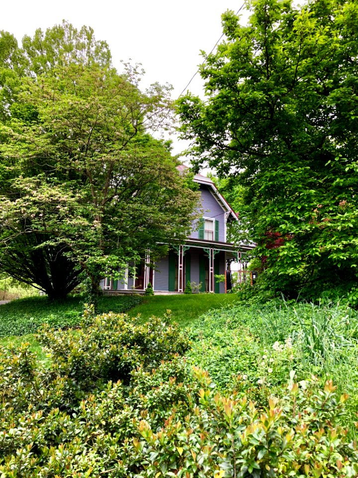Clifton Avenue, Clifton, Cincinnati, OH 