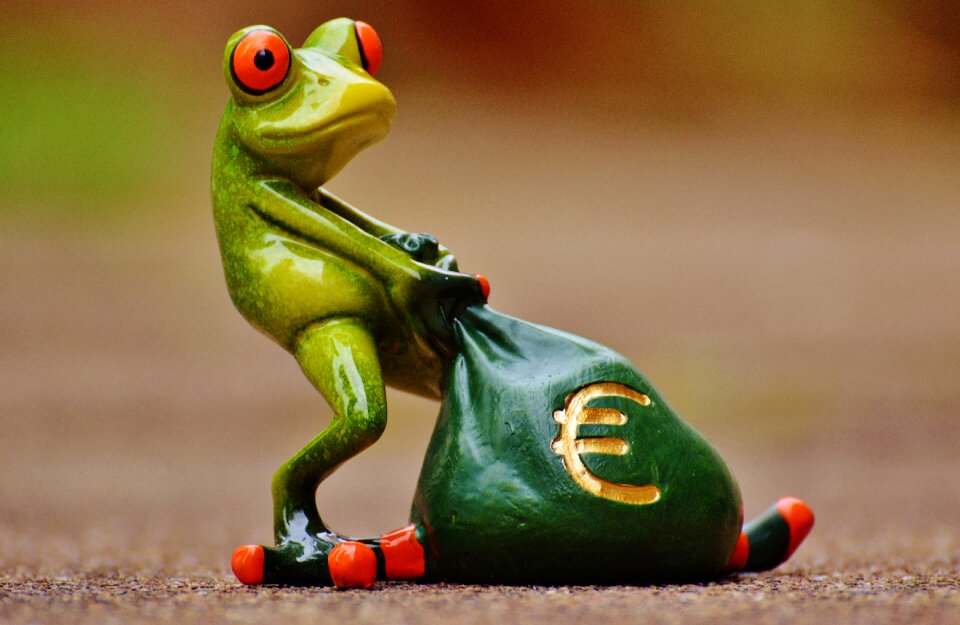 Bag money bag funny