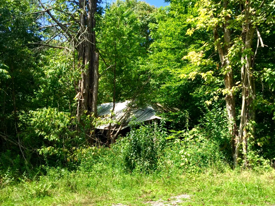 Tarpaper Shack, Johns Creek Road, Caney Fork, NC 