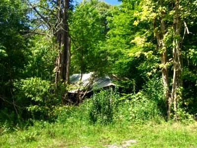 Tarpaper Shack, Johns Creek Road, Caney Fork, NC 