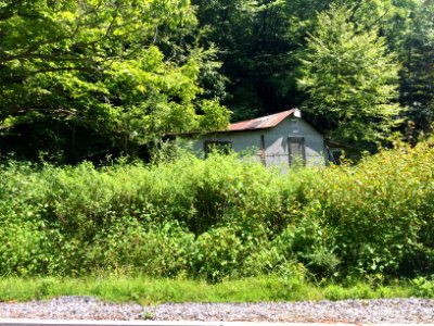 Tarpaper Shack, Johns Creek Road, Caney Fork, NC 