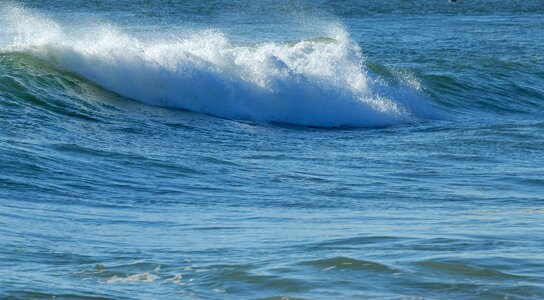 Saltwater white sea