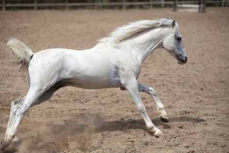 Ride nature cute