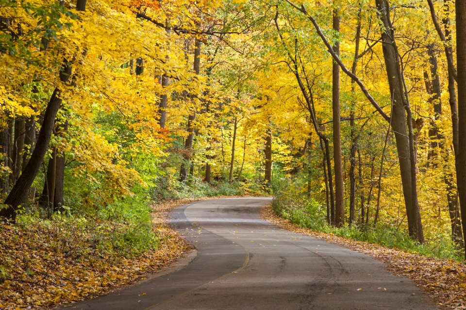 Journey landscape season