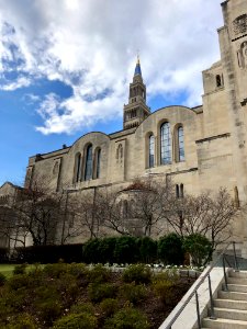 Basilica of the National Shrine of the Immaculate Concepti… 