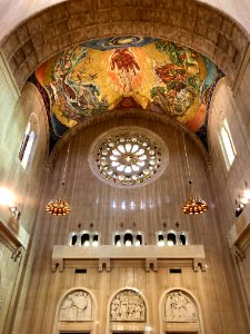 Basilica of the National Shrine of the Immaculate Concepti… 