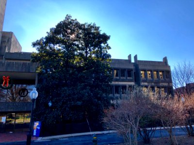 Joseph Mark Lauinger Library, Georgetown University, Georg… 